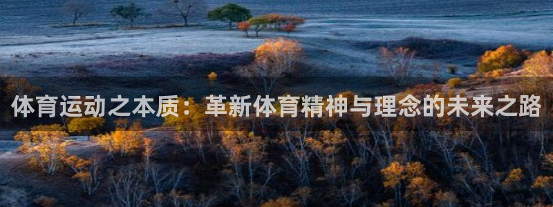 xc体育