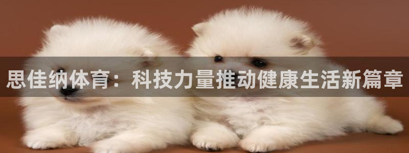 xc体育