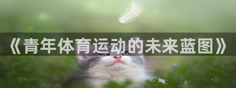 xc体育app官方网站