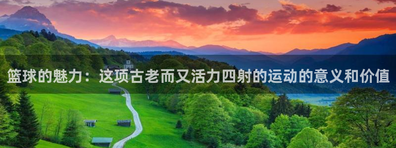 xc体育