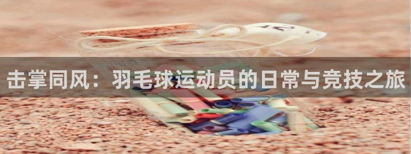 xc体育