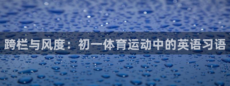 xc体育app官方网站：跨栏与风度：初一体育运动中的英语习语