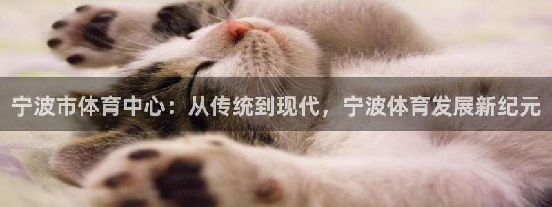 xc体育app官方网站：宁波市体育中心：从传统到现代，宁波体育发展新纪元