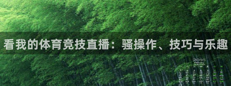xc体育：看我的体育竞技直播：骚操作、技巧与乐趣