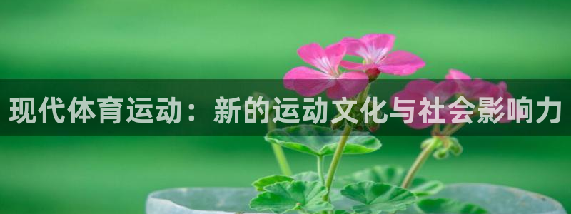 xc体育：现代体育运动：新的运动文化与社会影响力