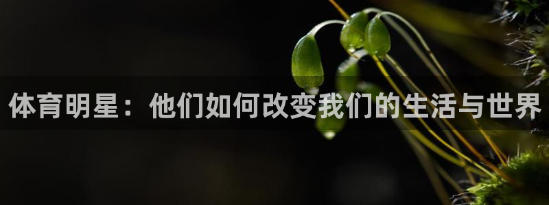 xc体育app官方网站：体育明星：他们如何改变我们的生活与世界