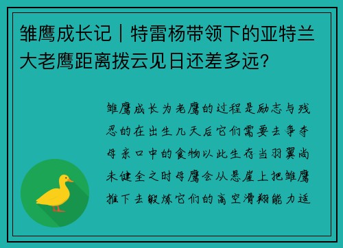 雏鹰成长记｜特雷杨带领下的亚特兰大老鹰距离拨云见日还差多远？